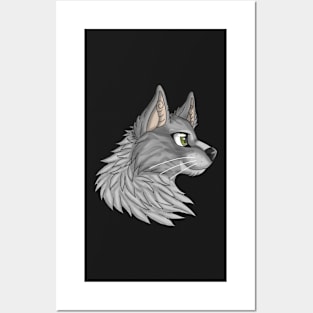 Silver Maine Coon Posters and Art